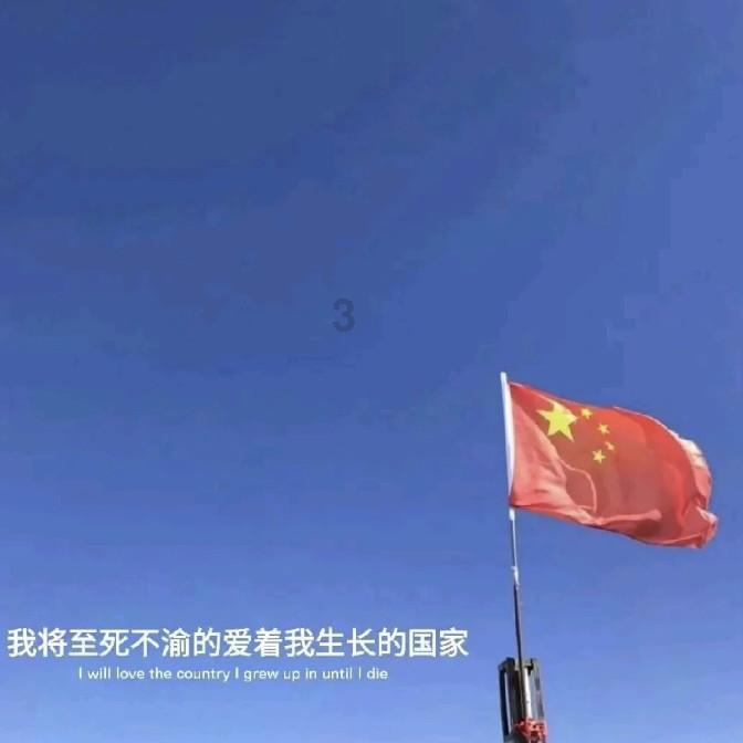 让动物飞一会